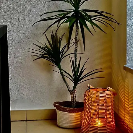 Apartamento Oasis Sao Joao *
