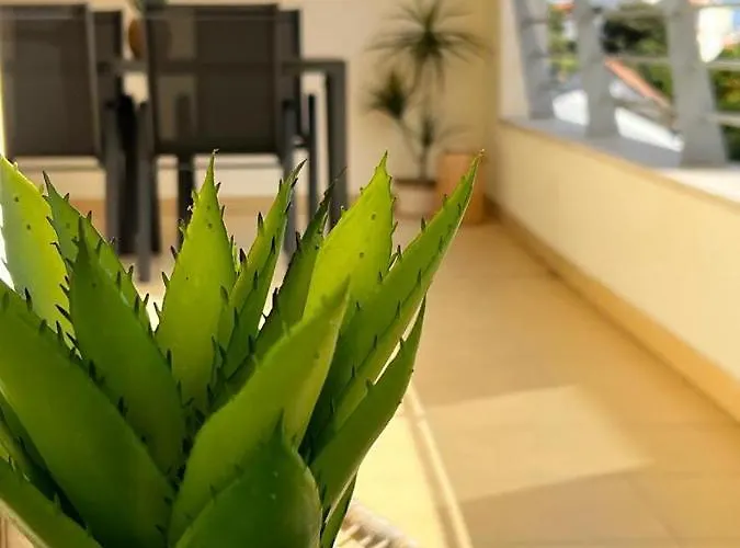 Apartamento Oásis São João Sesimbra